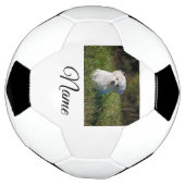 Einfaches Kolorful tier add name foto custom throw Fußball (Gedreht)