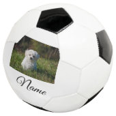 Einfaches Kolorful tier add name foto custom throw Fußball (Dreiviertel)