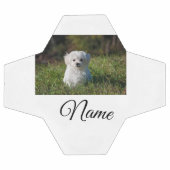 Einfaches Kolorful tier add name foto custom throw Fußball (Flach)