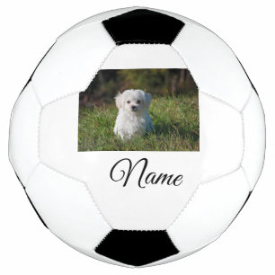 Einfaches Kolorful tier add name foto custom throw Fußball