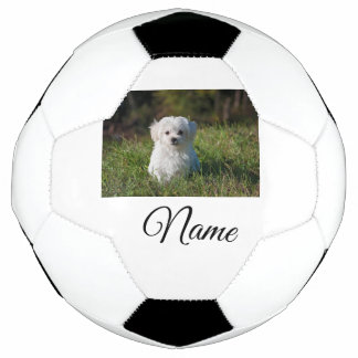 Einfaches Kolorful tier add name foto custom throw Fußball