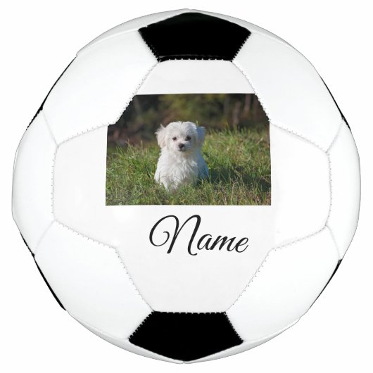 Einfaches Kolorful tier add name foto custom throw Fußball (Vorderseite)