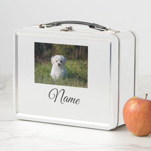 Einfaches Kolorful tier add name foto custom throw Metall Brotdose (Beispiel)