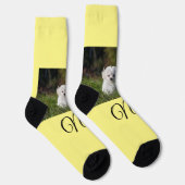 Einfaches Kolorful tier add name foto custom throw Socken (Rechts)