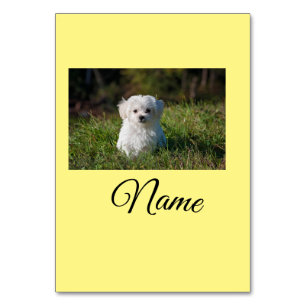 Einfaches Kolorful tier add name foto custom throw Tischnummer