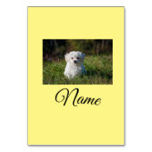 Einfaches Kolorful tier add name foto custom throw Tischnummer (Rückseite)