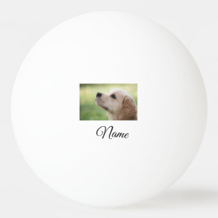 Einfaches Kolorful tier add name foto custom throw Tischtennisball