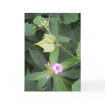 Einfaches Leben ... Ist nicht einfach Blume Zitat