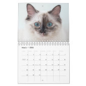 Einfaches Minimalistisches benutzerdefiniertes 202 Kalender (Mär 2026)