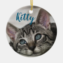 Einfaches modernes benutzerdefiniertes Katzenname-