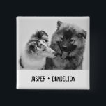 Einfaches, modernes Foto für Haustiere oder Person Button<br><div class="desc">Add your own foto and text to create a small foto gift. This square shaped button or pin is ready to be customized with your foto and your own names or message in distressed black typewriter style lettering. The Simple, modern black and white style looks great with black and white...</div>