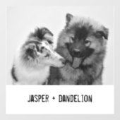 Einfaches, modernes Foto für Haustiere oder Person Fensteraufkleber (Blatt)