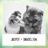 Einfaches, modernes Foto für Haustiere oder Person Fensteraufkleber (Blatt 3)