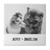 Einfaches, modernes Foto für Haustiere oder Person Fliese (Vorderseite)