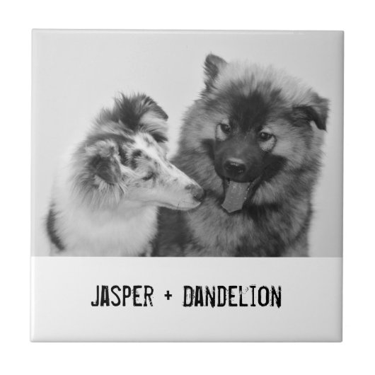 Einfaches, modernes Foto für Haustiere oder Person Fliese (Vorderseite)