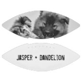 Einfaches, modernes Foto für Haustiere oder Person Football (Paneele)