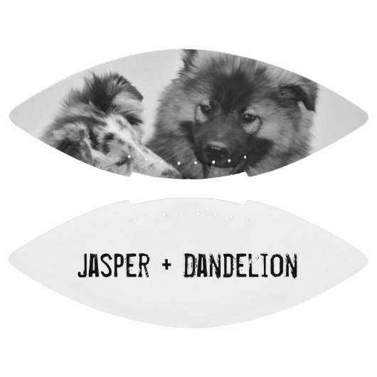 Einfaches, modernes Foto für Haustiere oder Person Football (Paneele)