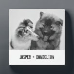 Einfaches, modernes Foto für Haustiere oder Person Fotoplatte<br><div class="desc">Fügen Sie Ihr eigenes Foto und Text hinzu, um ein einzigartiges Foto Geschenk zu machen. Diese Foto-Plakette ist fertig, um mit Ihrem Foto und Ihren eigenen Namen oder Nachricht in bedrängten schwarzen Schreibmaschinen Stil Buchstaben angepasst werden können. Der schlichte, moderne Schwarz-Weiß-Stil ist mit Fotos in Schwarz/Weiß oder Farbtönen ausgezeichnet. Zeigen...</div>