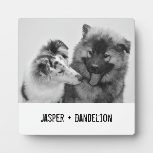 Einfaches, modernes Foto für Haustiere oder Person Fotoplatte (Vorderseite)