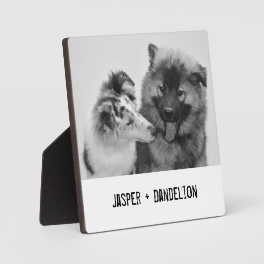 Einfaches, modernes Foto für Haustiere oder Person Fotoplatte (Vorderseite)