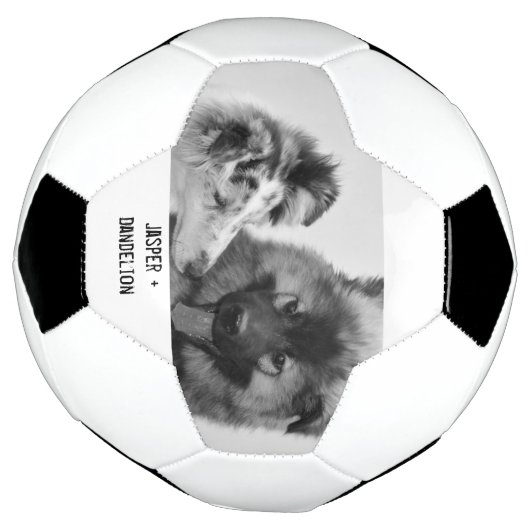 Einfaches, modernes Foto für Haustiere oder Person Fußball (Gedreht)