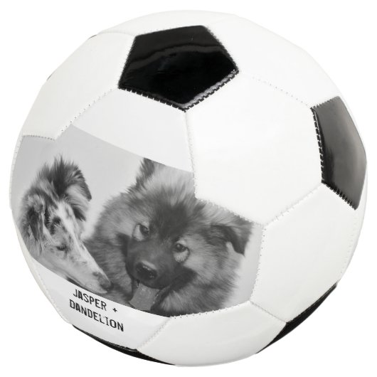 Einfaches, modernes Foto für Haustiere oder Person Fußball (Dreiviertel)