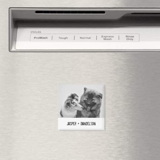 Einfaches, modernes Foto für Haustiere oder Person Magnet (In Situ (Geschirrspüler))
