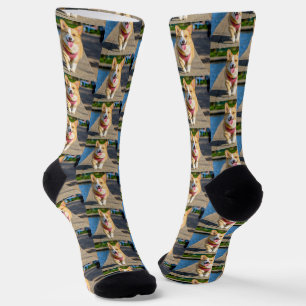 Einfaches Niedliches Hundeschlitten-Foto Socken