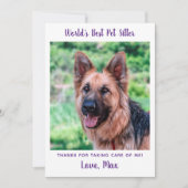 Einfaches Pet Sitter Custom Doppy Foto Vielen Dank Karte (Vorderseite)