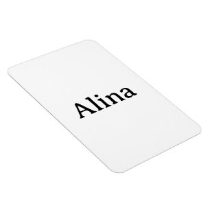 Einfaches professionelles Geschäft 10x15 cm flexib Magnet