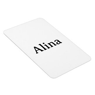 Einfaches professionelles Geschäft 10x15 cm flexib Magnet