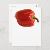 Einfaches Red Bell Pepper-Foto auf Weiß Postkarte (Vorne/Hinten)