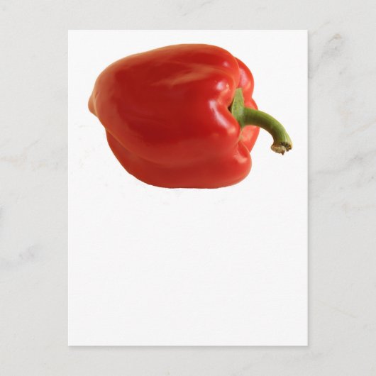 Einfaches Red Bell Pepper-Foto auf Weiß Postkarte (Vorderseite)
