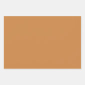 Einfaches schlichtes Pastellkupfer im Herbst in Vo Geschenkpapier Set (Vorderseite 3)