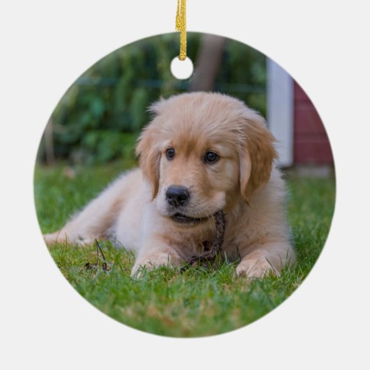 Einfaches Script-Two-Puppy-Hund-Foto Keramik Ornament (Hinten)