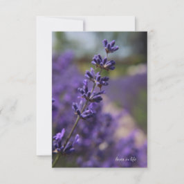 Einfaches Stem von Lavender Mitteilungskarte