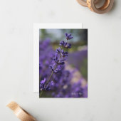 Einfaches Stem von Lavender Mitteilungskarte (Vorderseite/Rückseite Beispiel)