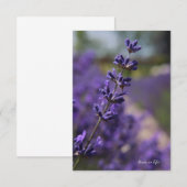 Einfaches Stem von Lavender Mitteilungskarte (Vorne/Hinten)