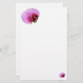 Einfaches Süß-Erbse Briefpapier (Vorne/Hinten)