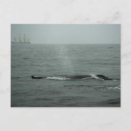 Einfaches Übergeben per Postkarte (Vorderseite)