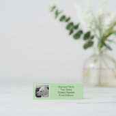 Einfaches und elegantes, hellgrünes Foto Mini Visitenkarte (Stehend Vorderseite)