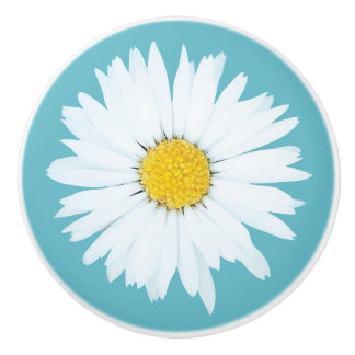 Einfaches weißes Gänseblümchen auf Blau Keramikknauf