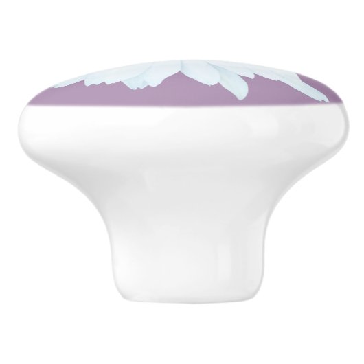 Einfaches weißes Gänseblümchen auf Lila Keramikknauf (Seitenansicht)