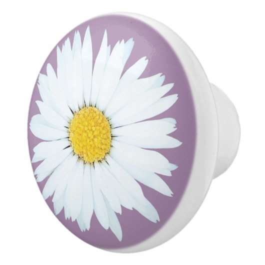 Einfaches weißes Gänseblümchen auf Lila Keramikknauf (Rechts)