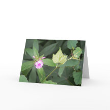 Einfachheit ist das ultimative Angebot