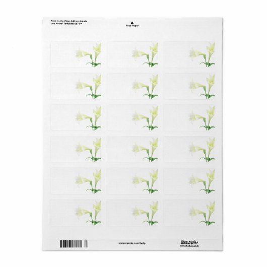 Einfachheit l Elegant White Lily Wedding oder Gene Adressaufkleber (Vorne)