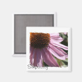 Einfachheit Magnet (Vorderseite/Rückseite)