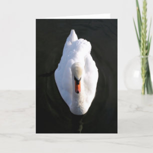 Einfachheit Swan Grußkarte Karte
