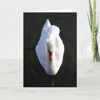 Einfachheit Swan Grußkarte Karte