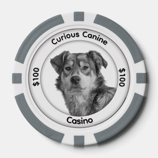 Einfarbiger Mischlingshund mit drei Textfeldern Pokerchips (Vorderseite)